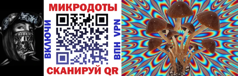 Галлюциногенные грибы ЛСД  дарнет шоп  Фокино 